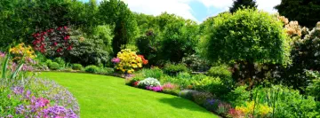 Landscape Services Fort Collins, Loveland, Windsor